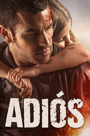adi s 2019
