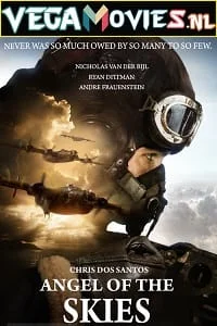 angel of the skies 2013