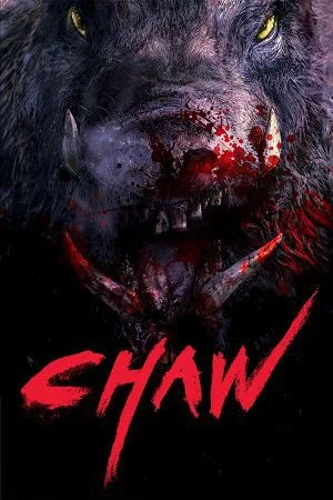 chawz 2009