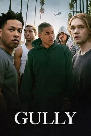 gully 2019