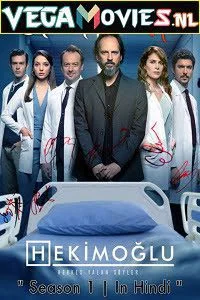 hekimoglu 2019