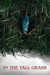 in the tall grass 2019