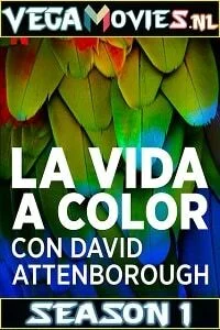life in colour season 1