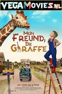 my giraffe 2017