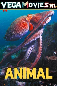 netflix animal season 1