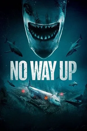 no way up 2024