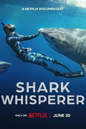 shark whisperer 2025