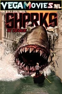 shark zone 2003