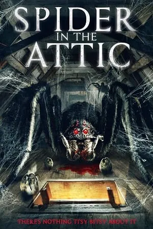 spider in the attic 2021