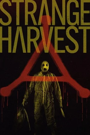 strange harvest 2024