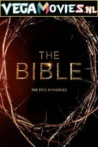 the bible 2013