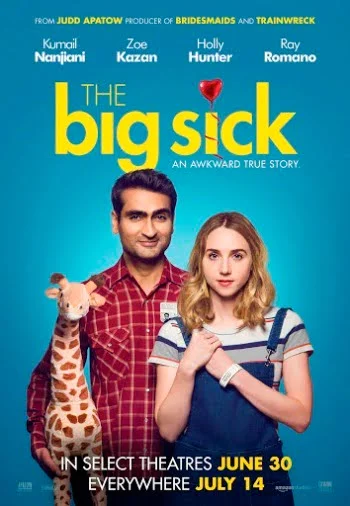 the big sick 2017