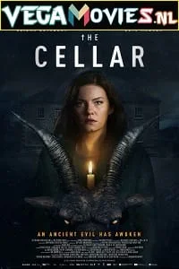 the cellar 2022