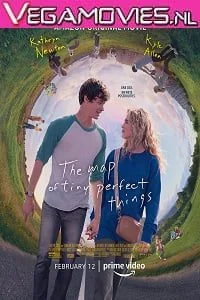 the map of tiny perfect things 2021