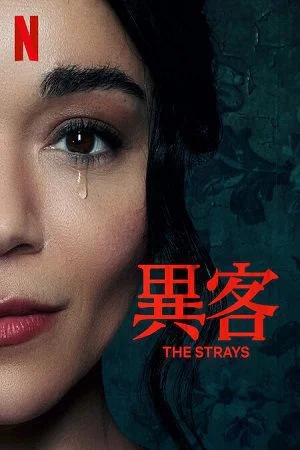 the shadow strays netflix original 2024