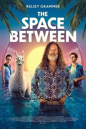 the space between 2017