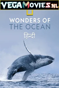wonders of the ocean 2021