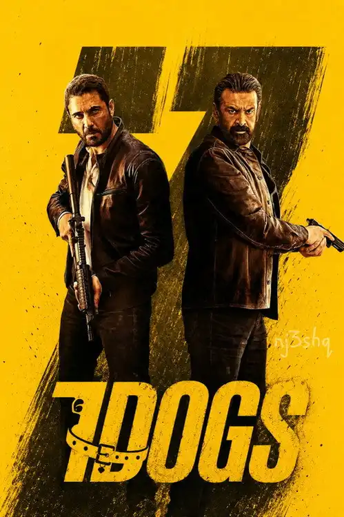 7 dogs 2026