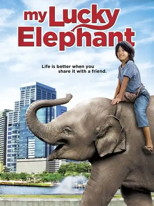 my lucky elephant 2013